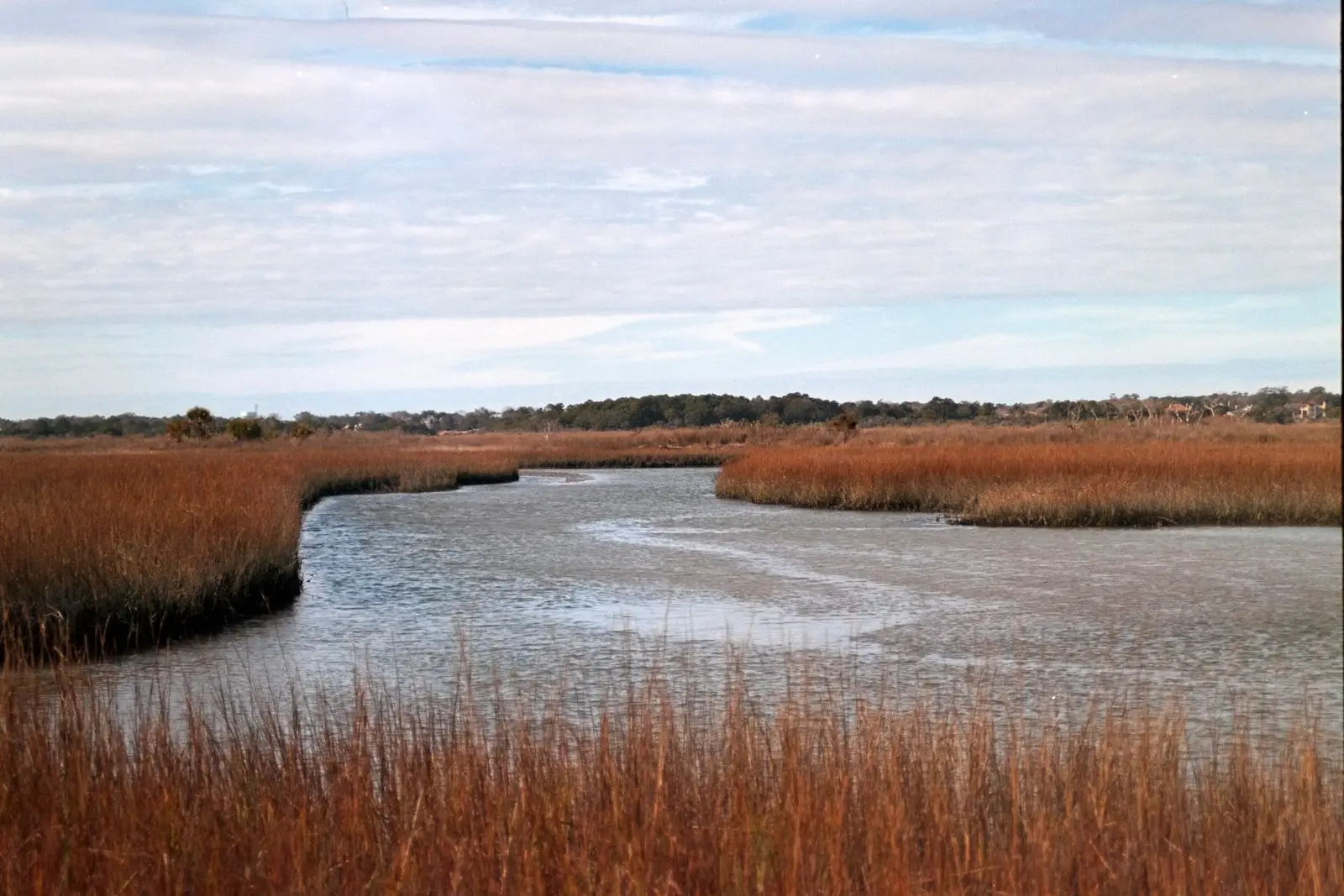 Un río sinuoso entre hierbas doradas bajo un cielo nublado